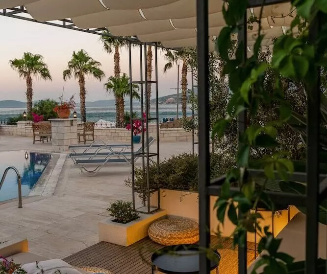 Fotos del hotel Torbahan:  13