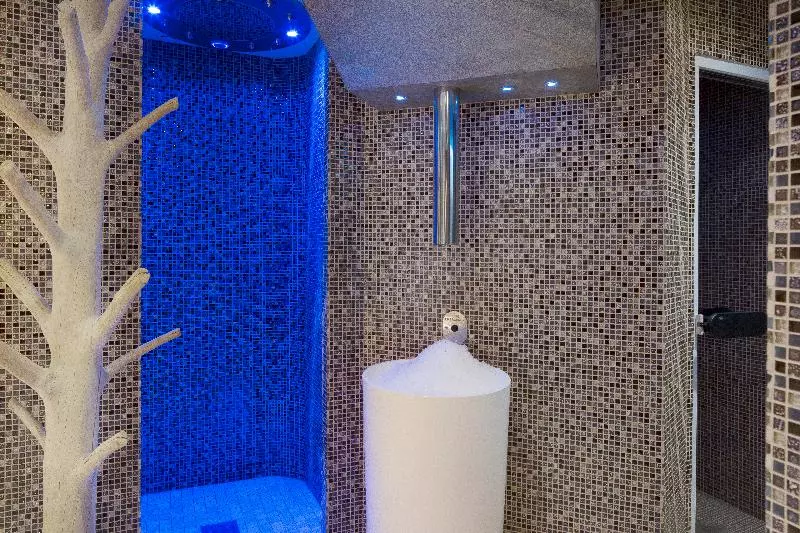 Fotos del hotel Hôtel & Spa De Latour Maubourg:  18