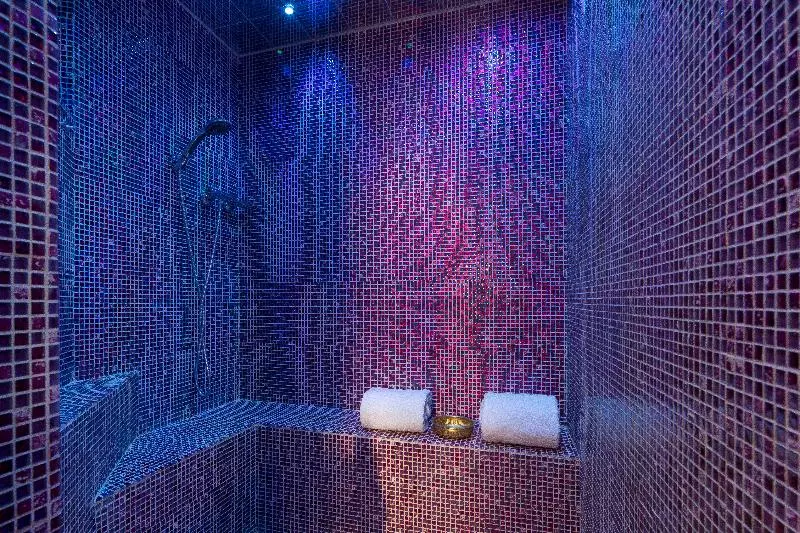 Fotos del hotel Hôtel & Spa De Latour Maubourg:  3