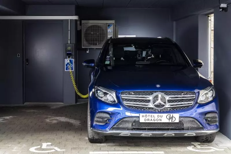 Fotos del hotel Hôtel Du Dragon:  21