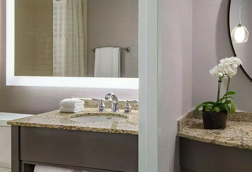 Fotos del hotel Embassy Suites Philadelphia  Center City:  5