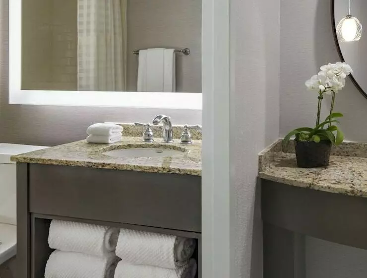 Fotos del hotel Embassy Suites Philadelphia  Center City:  10