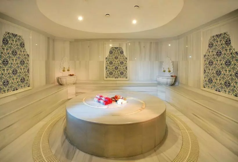 Fotos del hotel Holiday Inn Istanbul Old City, An Ihg:  4