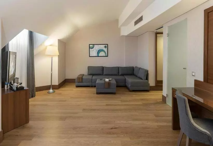 Fotos del hotel Holiday Inn Istanbul Old City, An Ihg:  24