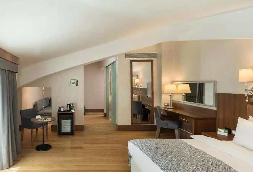 Holiday Inn Istanbul Old City, An Ihg