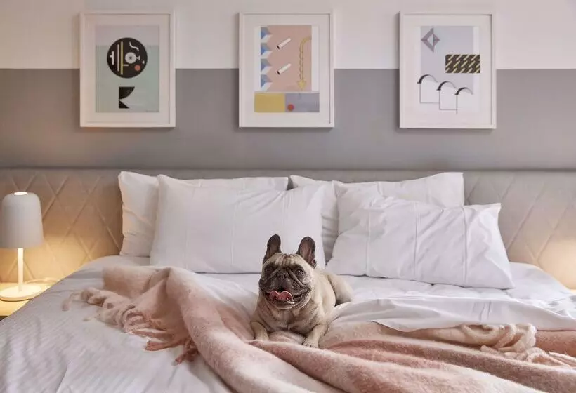 Fotos del hotel The Ultimo:  15