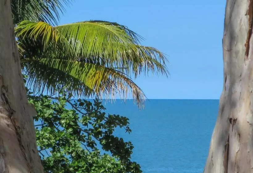 Fotos del hotel Marlin Waters Beachfront Apartments:  10