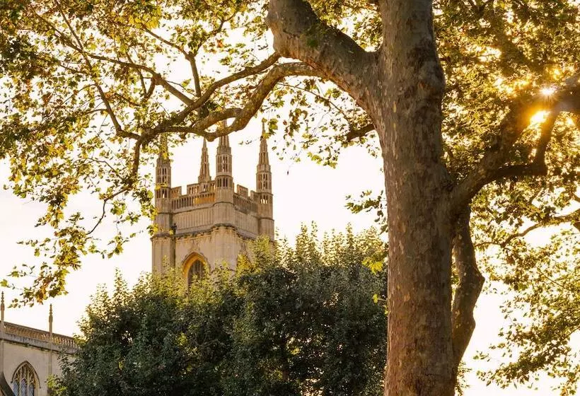 Fotos del hotel Sonder Chelsea Green:  7