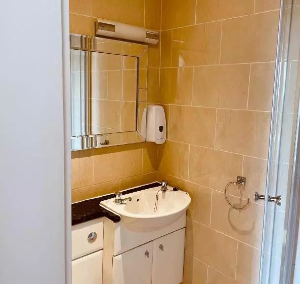 Fotos del hotel Piccadilly:  8