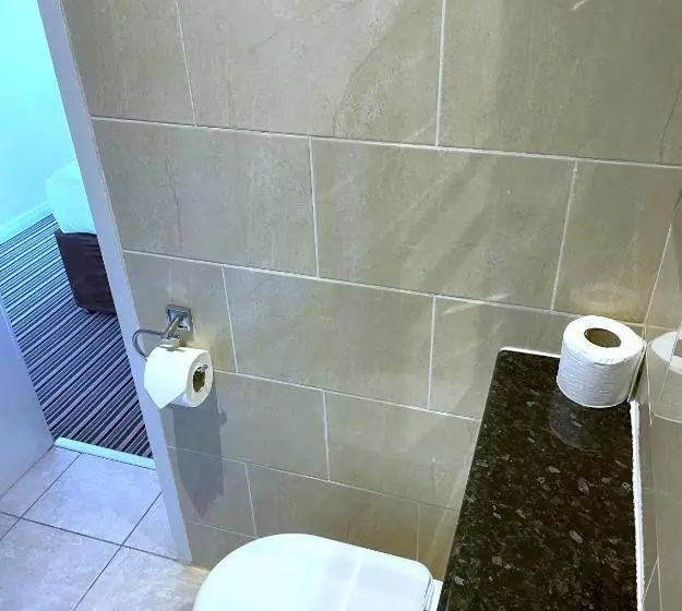 Fotos del hotel Piccadilly:  13