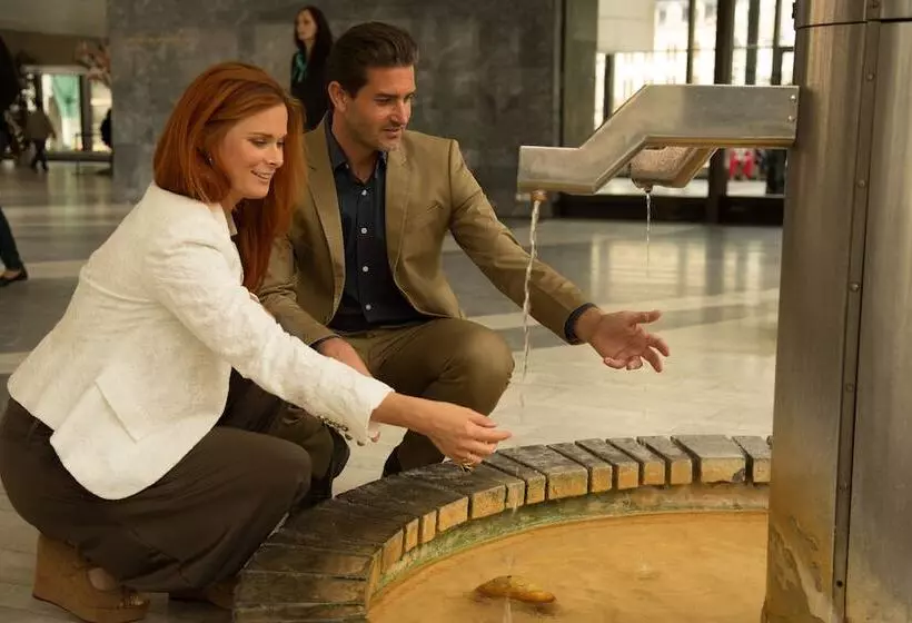 Fotos del hotel Romance:  7