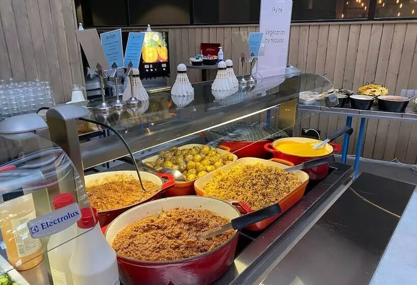 Fotos del hotel Skyline Airport:  12