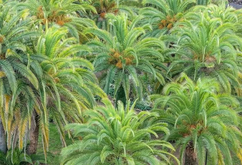 Fotos del hotel Hôtel Campo Dell Oro:  7