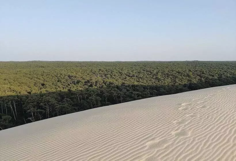 Fotos del hotel Intercontinental Bordeaux Le Grand , An Ihg:  10