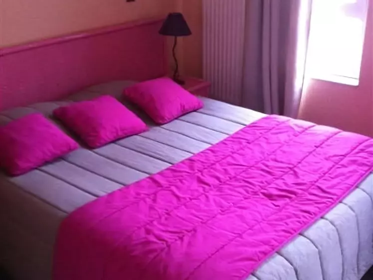 Fotos del hotel Hôtel Du Théâtre:  16