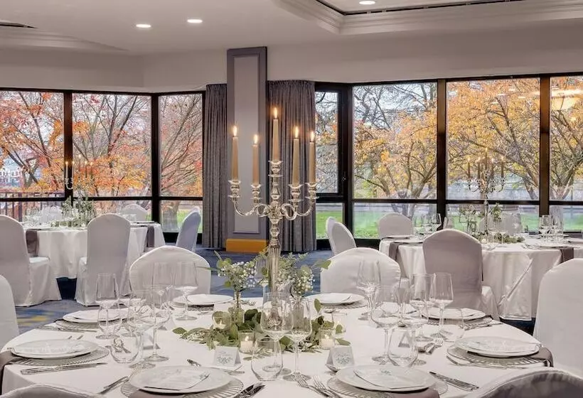 Fotos del hotel Bilderberg Bellevue Hotel Dresden:  4