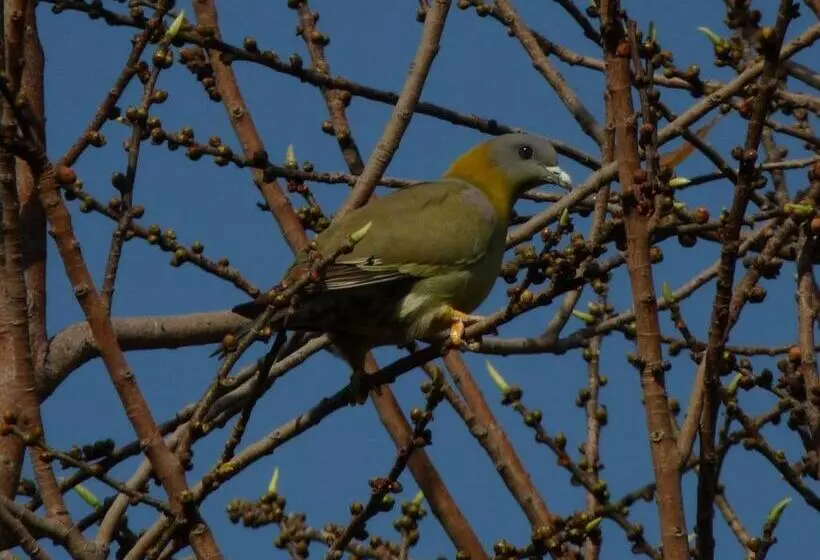 Fotos del hotel The Gateway  Ramgarh, Jaipur:  19