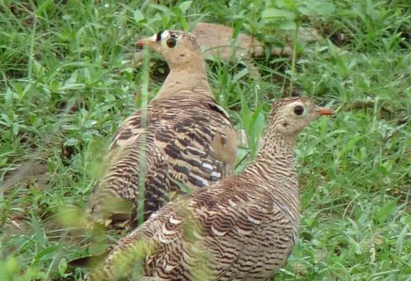 Fotos del hotel The Gateway  Ramgarh, Jaipur:  10