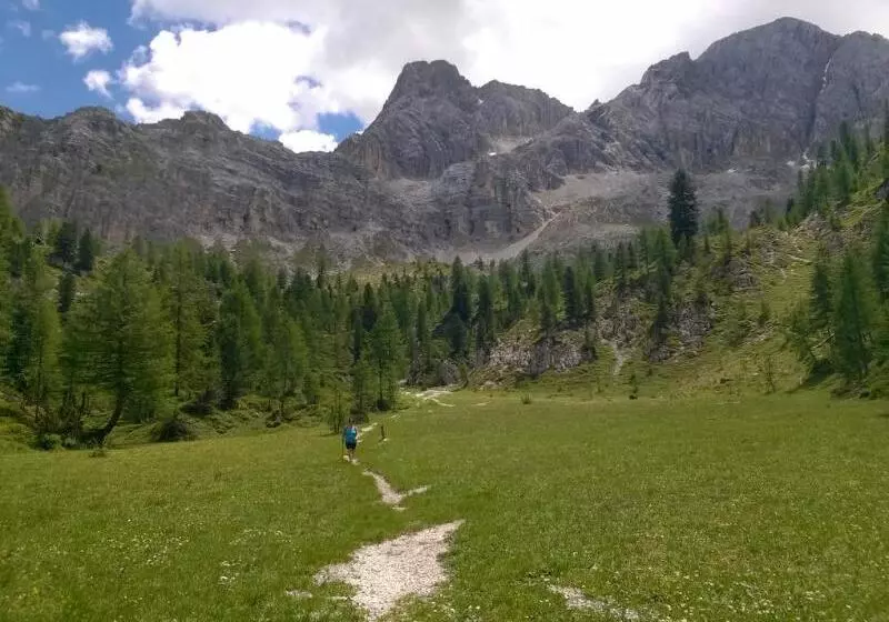 Fotos del hotel Alaska Cortina:  14