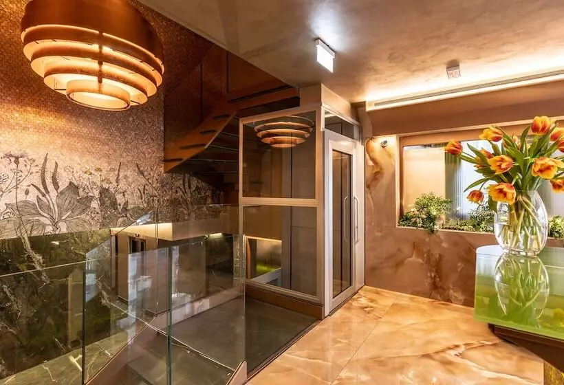 Fotos del hotel Ariston:  2