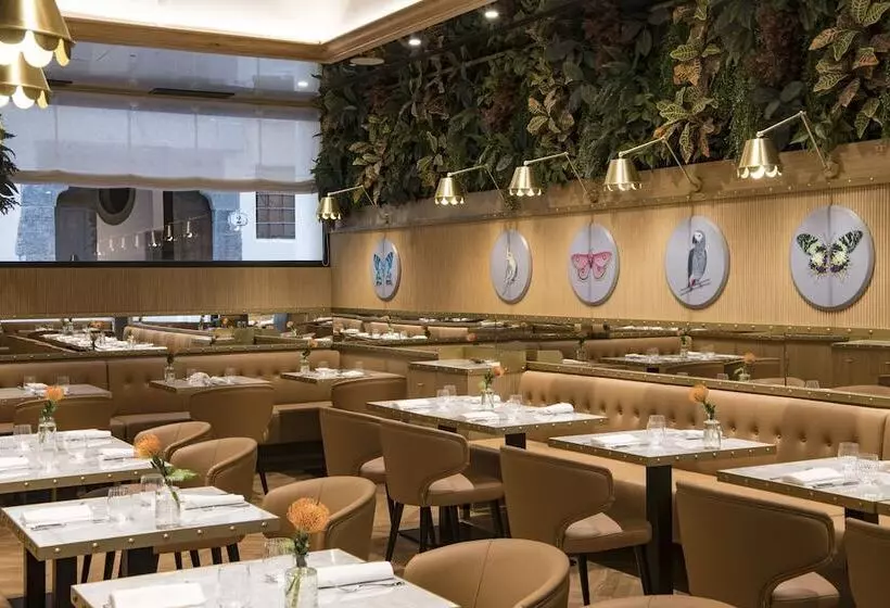 Fotos del hotel Il Tornabuoni:  8