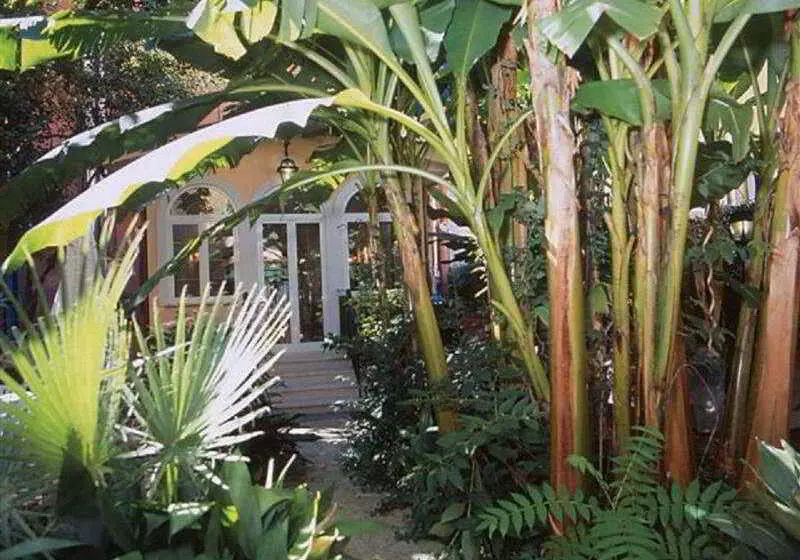 Fotos del hotel Astoria Garden:  10