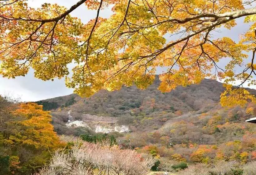 Fotos del hotel Hakone Yunohana Prince Hotel:  17