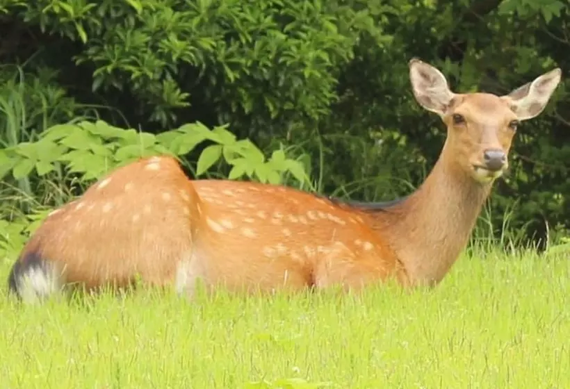 Fotos del hotel Hakone Yunohana Prince Hotel:  7