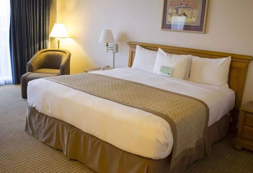 Fotos del hotel Lucerna Ciudad Juarez:  13