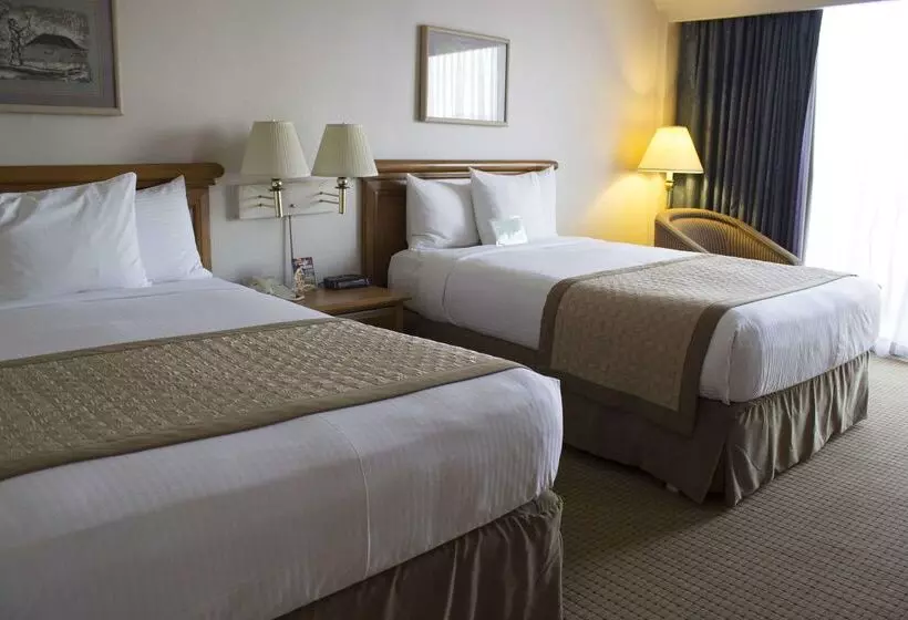 Fotos del hotel Lucerna Ciudad Juarez:  8