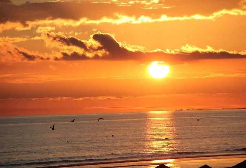 Fotos del hotel Vasco Da Gama:  22