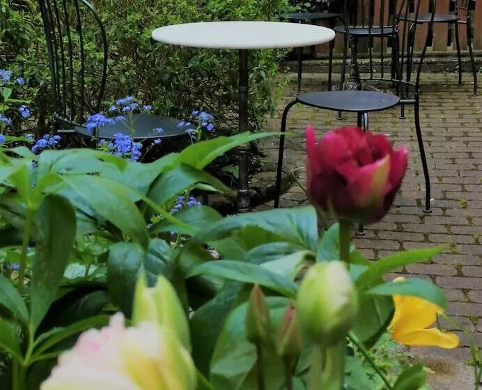 Fotos del hotel Lorensberg:  13