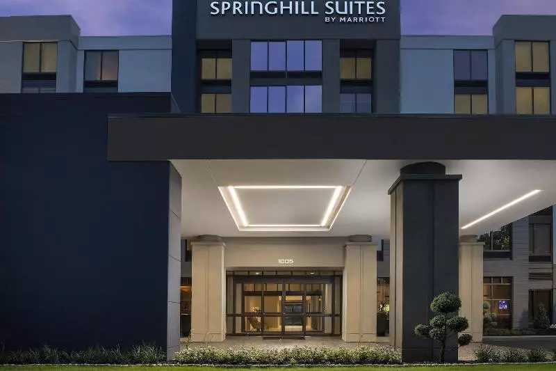 Fotos del hotel Springhill Suites By Marriott Atlanta Perimeter Center:  17