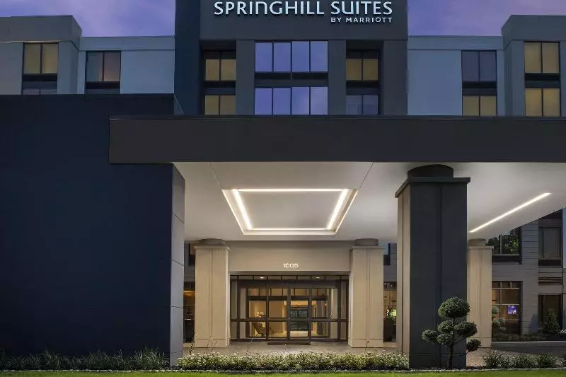 Fotos del hotel Springhill Suites By Marriott Atlanta Perimeter Center:  11