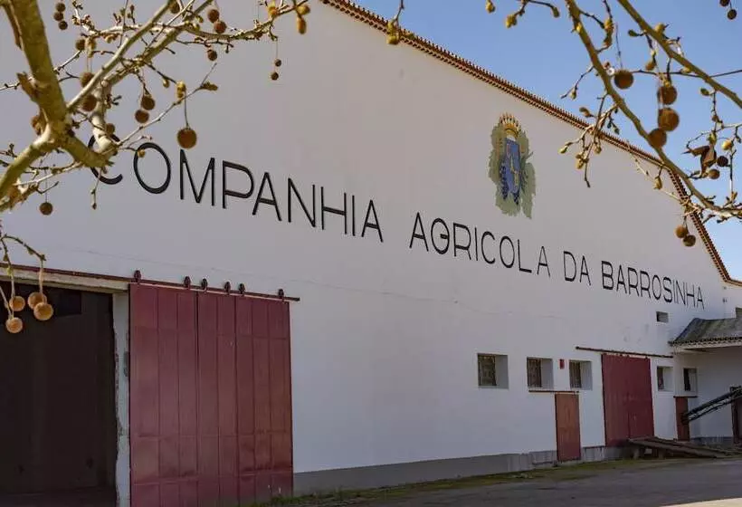 Fotos del hotel Da Barrosinha:  19