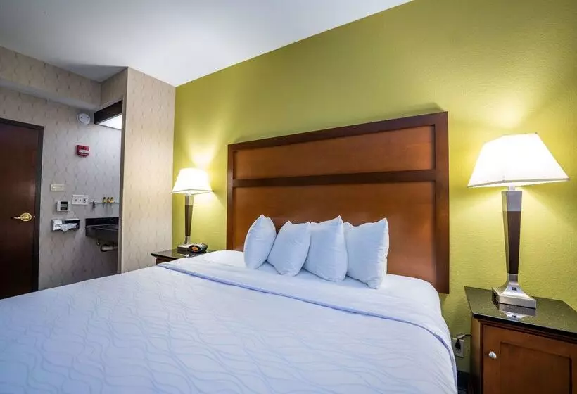 Fotos del hotel Best Western Plus Houston Energy Corridor:  20