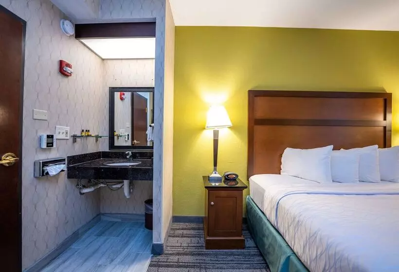 Fotos del hotel Best Western Plus Houston Energy Corridor:  9