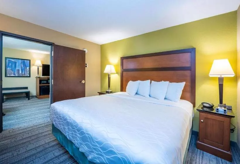 Fotos del hotel Best Western Plus Houston Energy Corridor:  21