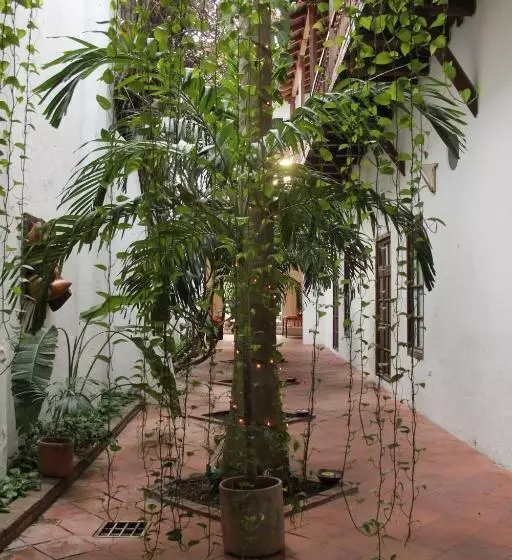 Fotos del hotel Casa Del Tejadillo:  9