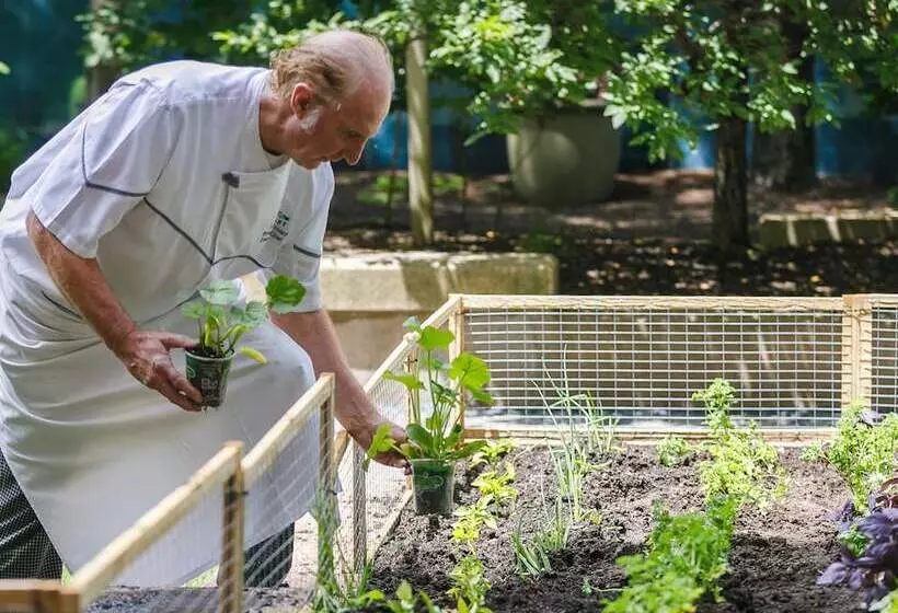 Fotos del hotel Seaport Hotel® Boston:  9