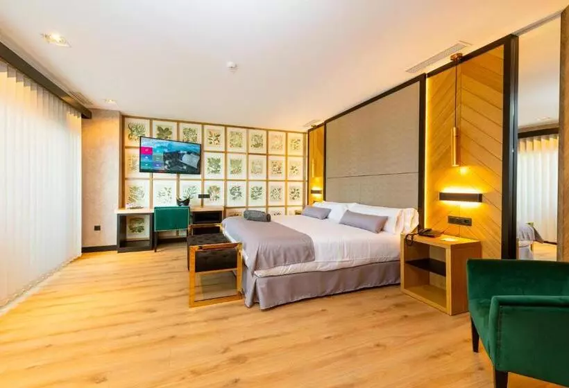 Fotos del hotel Antonio Ii:  8