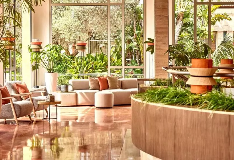 Fotos del hotel Zafiro Can Picafort:  2