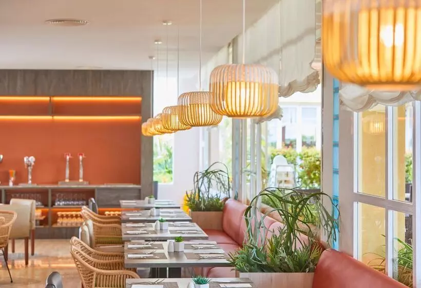 Fotos del hotel Zafiro Can Picafort:  5