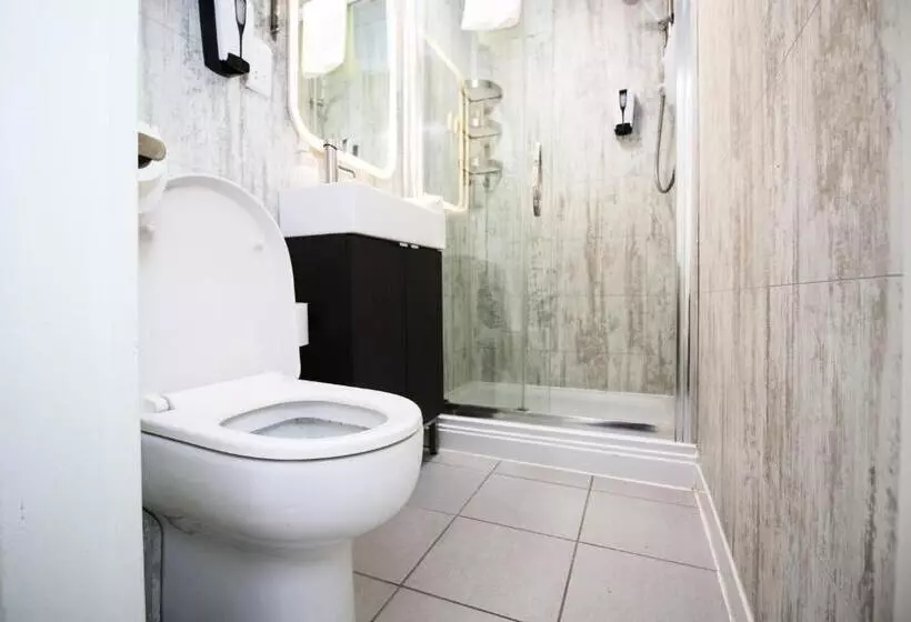 Fotos del hotel Ambassador Hotel:  8