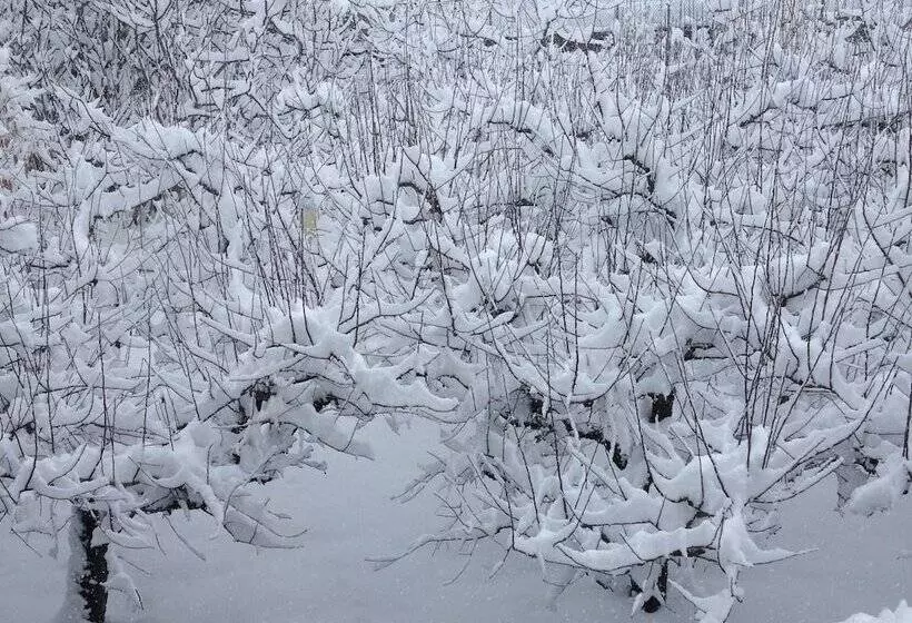 Fotos del hotel Hotel Cotiella:  4