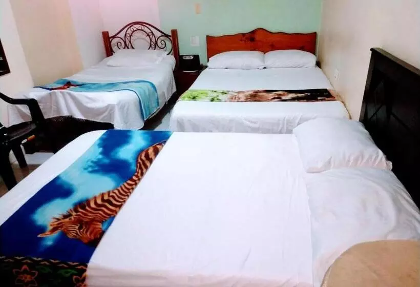 Fotos del hotel Nevada:  17