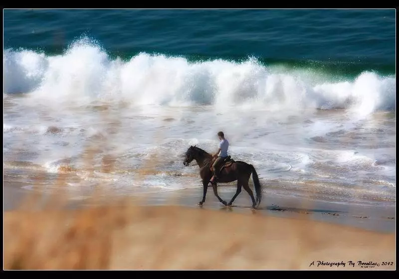 Fotos del hotel Spa Galatea:  6