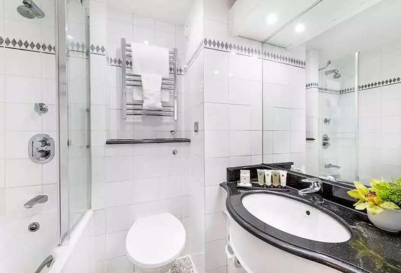 Fotos del hotel Millennium  London Knightsbridge:  15