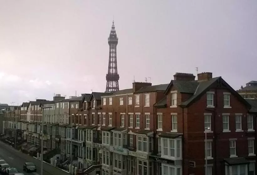 Fotos del hotel The Albert:  5