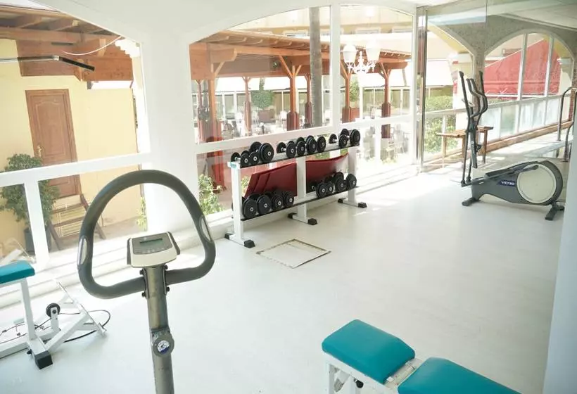 Fotos del hotel Ohtels La Hacienda:  8